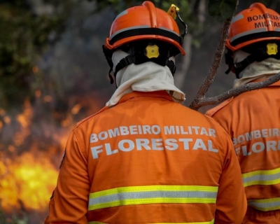 Bombeiros militares combatem incndio em vegetao s margens da BR-364