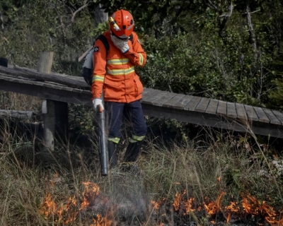 Corpo de Bombeiros combate 31 incndios florestais nesta quarta-feira (10)