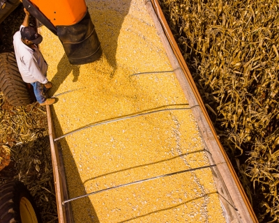 Sorriso  o municpio com maior PIB agrcola do pas, aponta IBGE