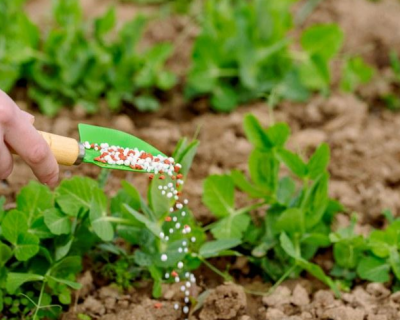 Governo do Estado e UFMT firmam parceria para estudo sobre a cadeia de fertilizantes em MT