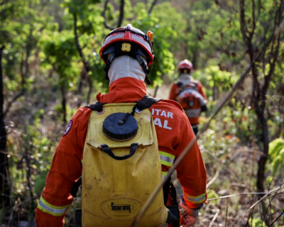 Corpo de Bombeiros combate 31 inc�ndios florestais neste s�bado (13)