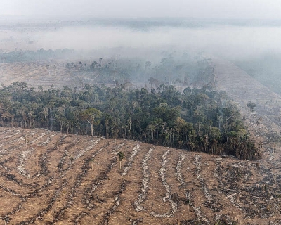 Amaz�nia perdeu quase 20% da floresta em quatro d�cadas