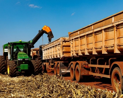  Mato Grosso finaliza colheita da 2� safra de milho com recorde de produ��o