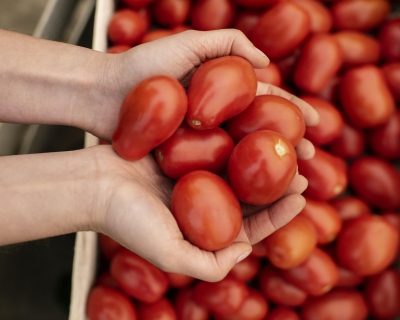 Cesta bsica em Cuiab sobe 1% e chega a R$ 792,65 em setembro