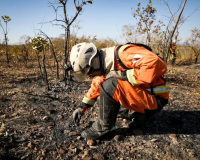 Em 10 dias de operao, equipes aplicam R$ 78 milhes em multas por crimes ambientais no Norte de MT