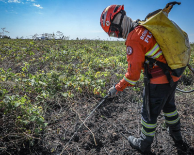 Corpo de Bombeiros combate 15 inc�ndios florestais neste domingo (28)