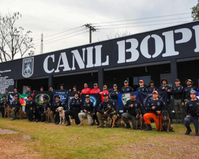 Guarda Municipal de Vrzea Grande conclui curso de ces detectores de drogas