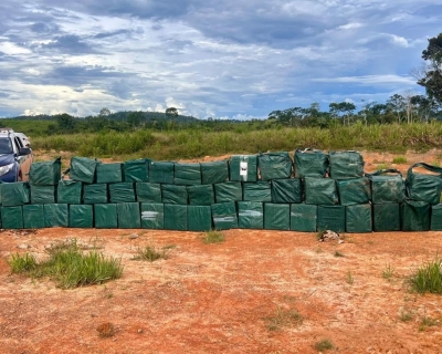 For�as de seguran�a apreendem 35 toneladas de drogas em 2025 em Mato Grosso