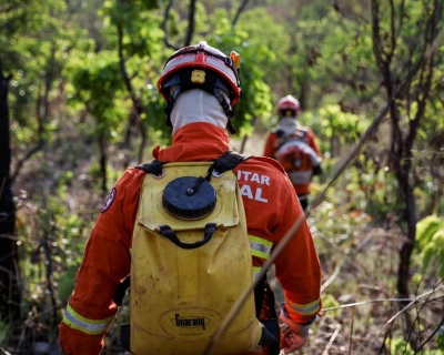 Corpo de Bombeiros combate 18 incndios florestais nesta sexta-feira (3)