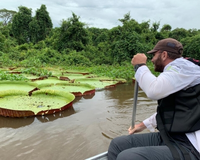 Mato Grosso sediar 1 edio da COP Pantanal