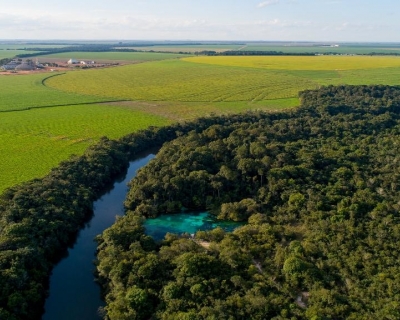 Governo do Estado e PCI promovem Seminrio Pr-COP 30 em Braslia