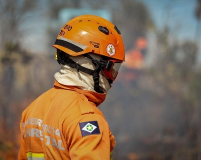 Corpo de Bombeiros combate 22 incndios florestais nesta quarta-feira (8)