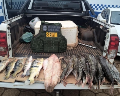 Sema e PM apreendem cerca de 70 quilos de pescado irregular nos ltimos quatro dias