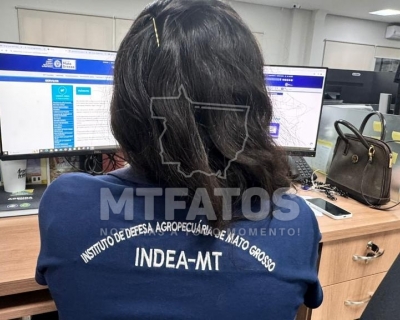 Campanha de Atualizao de Estoque de Rebanhos comea dia 1 de novembro