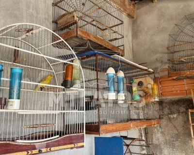 Sema e PJC integram fora-tarefa de combate ao trfico de animais silvestres