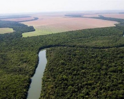 Mato Grosso segue na contramo da Amaznia Legal e registra aumento de 25% no desmatamento, aponta Inpe