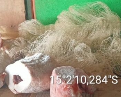 Sema e PM apreendem animais comercializados ilegalmente no norte do estado