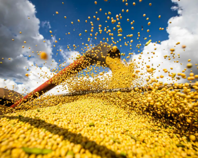 Brasil deve colher 354,8 milhes de toneladas de gros na safra 2025/26, aponta Conab