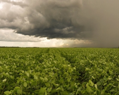 Clima irregular mantm produtores de Mato Grosso em alerta, apesar de incio de recuperao das chuvas