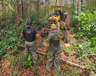 Polcia Civil e Ibama intensificam combate ao desmatamento ilegal em Comodoro