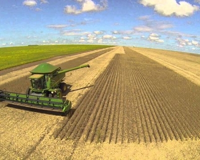 Mato Grosso retoma liderana nacional e impulsiona produo agropecuria em 2025