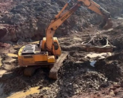 Minist�rio P�blico denuncia fazendeiros por extra��o ilegal e R$ 27 milh�es em danos ambientais em MT