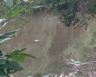 Marcas de sangue e corpo submerso mobilizam buscas no Rio Manduquinha