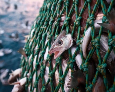 Homem � preso em Tesouro por ca�a ilegal, pesca irregular e posse de arma sem registro 