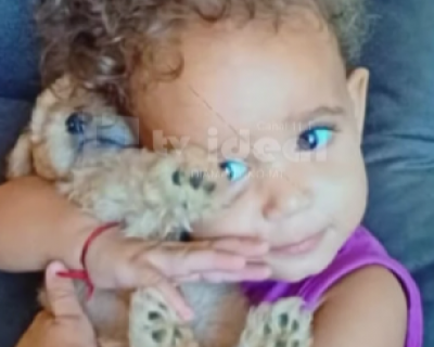 Menina de 3 anos morre ap�s ser atropelada por �nibus em Diamantino