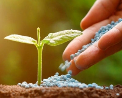 Brasil aposta na retomada industrial para cortar depend�ncia externa de fertilizantes