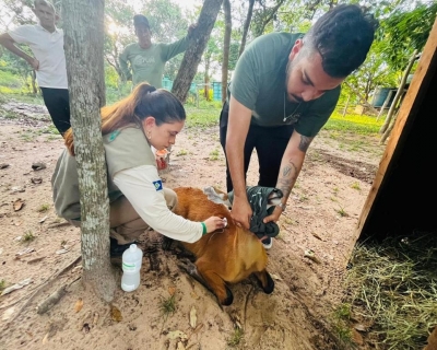 Sema promove reabilita��o de animais resgatados na regi�o do Pantanal