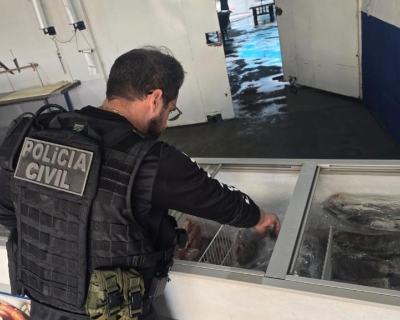 A��o integrada apreende mais de 2 toneladas de pescado irregular em Cuiab�