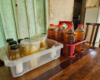 Produ��o de mel ganha for�a em Carlinda com apoio da Seaf e da Empaer e se torna alternativa de renda e conserva��o ambiental