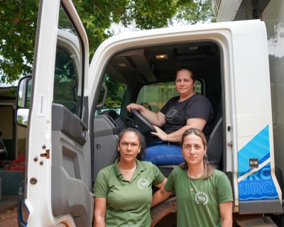 Investimentos do Governo de MT impulsionam produ��o de mandioca congelada em S�o Jos� do Rio Claro