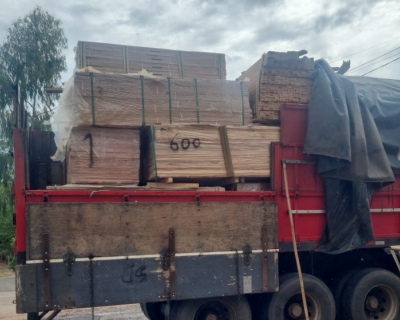 Batalh�o Ambiental da PM apreende caminh�o carregado com carga irregular de madeira