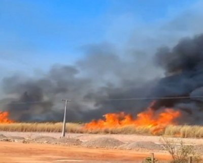 Inc�ndio de Grandes Propor��es Atinge �rea de Vegeta��o em Cuiab�