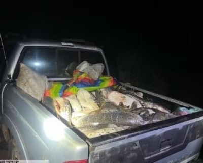 PM Ambiental apreende mais de 400 kg de pescado ilegal durante fiscaliza��o da Piracema em MT