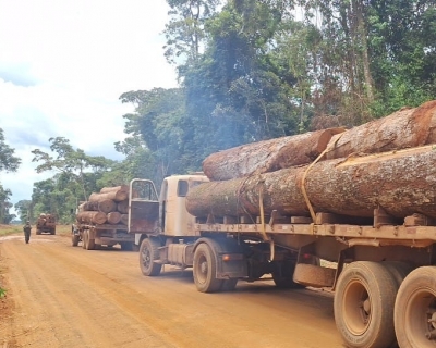 Pol�cia Militar apreende mais de 100m� de madeira ilegal em Feliz Natal