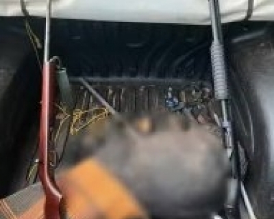 Persegui��o na zona rural termina com tr�s presos por ca�a ilegal em MT