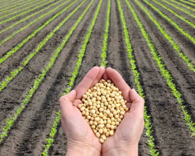 Nova funcionalidade da Agro Brasil + Sustent�vel habilita �reas de produ��o para mercados internacionais