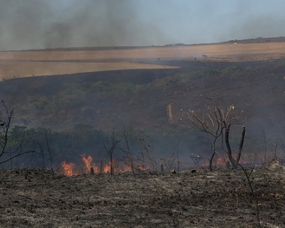 Queimadas despencam em Mato Grosso em 2025 e agosto tem queda hist�rica