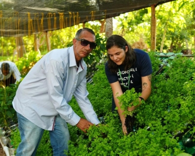 Parceria entre Setasc e Grupo Solar viabiliza horta hidrop�nica em instituto terap�utico de Cuiab�