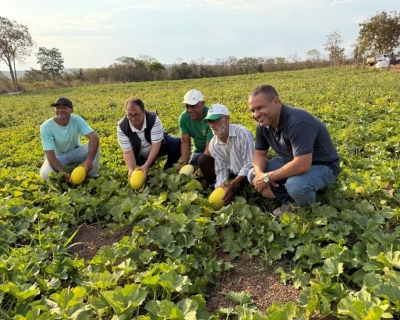Pol�ticas p�blicas ampliam produ��o de alimentos e transformam a agricultura familiar em MT