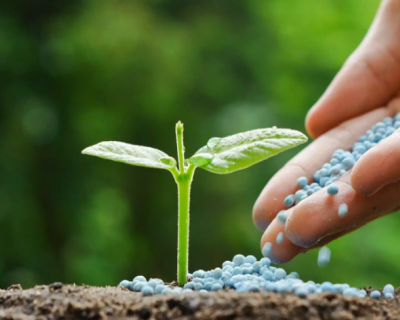 Decreto que prorroga diferimento do ICMS sobre fertilizantes traz al�vio ao agroneg�cio de Mato Grosso