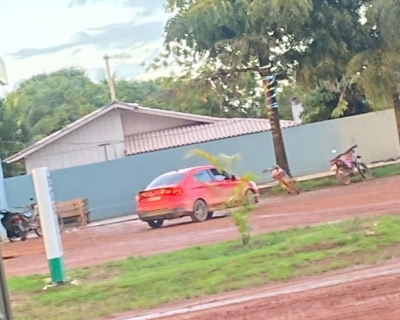 Pol�cias Civis de MT e RO prendem suspeito de tentativa de latroc�nio e recuperam ve�culo roubado