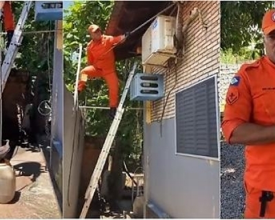 Bombeiros resgatam jiboia escondida no forro de casa em Cuiab�(V�deo)