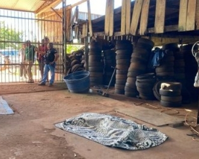 Homem � morto a tiros ap�s criminosos fingirem ser clientes em borracharia