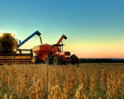 Colheita da soja come�a em MT e avan�a quase 2% da �rea plantada