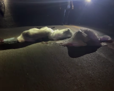 Colis�o m�ltipla na MT-175 deixa tr�s mortos, entre eles uma crian�a