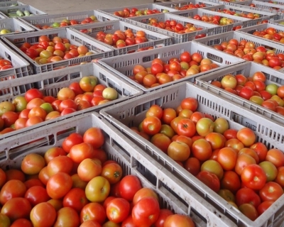 Alta do tomate e da batata empurra cesta b�sica para R$ 809,75 em Cuiab�